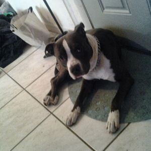 Meet your Posher, Finda